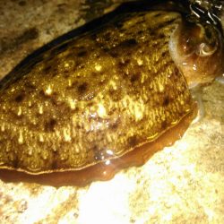 ゴミまみれでした